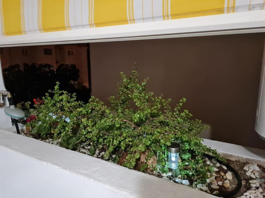 Encantador Apartamento Residencial Con Piscina Τορρεμολίνος Εξωτερικό φωτογραφία